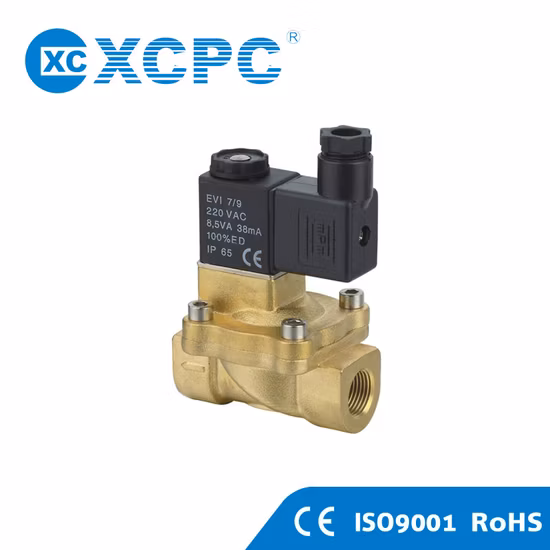 2L Series High Temperature Fluid Steam Solenoid Valve